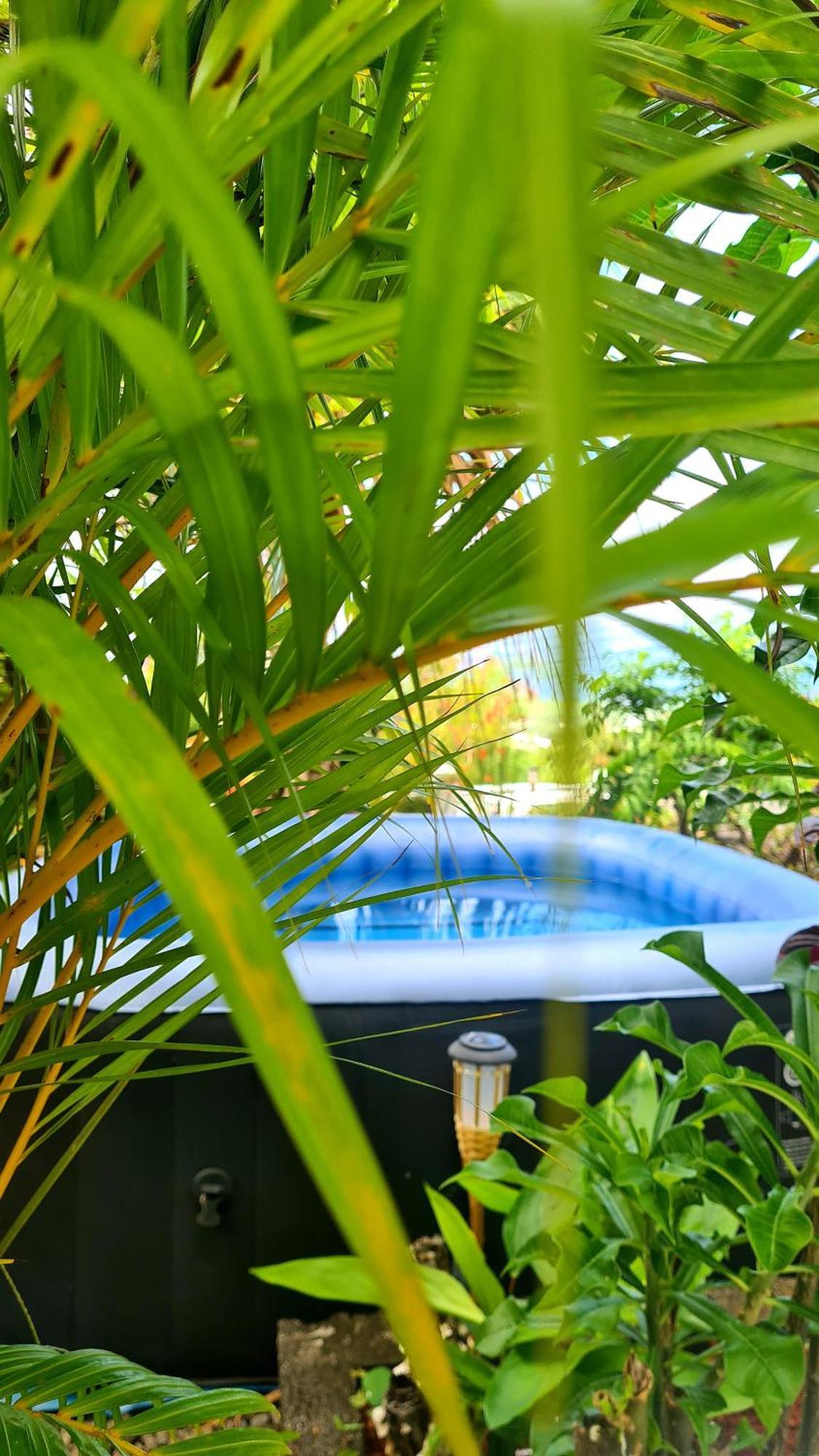 Le Cocon De Madana Appartement Saint-Joseph Buitenkant foto